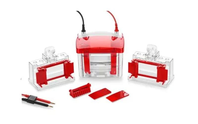 wix minipro2 mini vertical electrophoresis cell 1