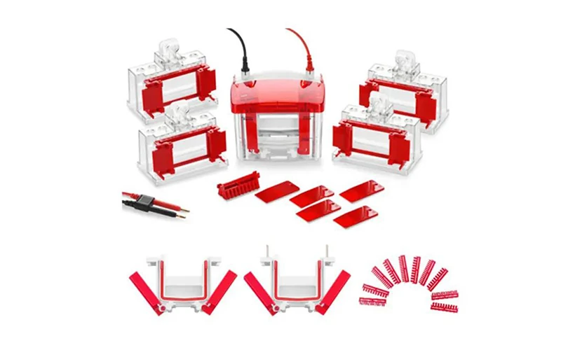 wix minipro4 mini vertical electrophoresis cell 111
