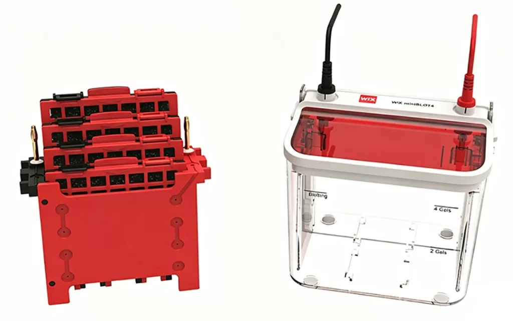 mini vertical blot wix miniblot4 2