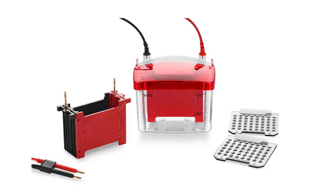 wix miniblot mini vertical blot 0.2