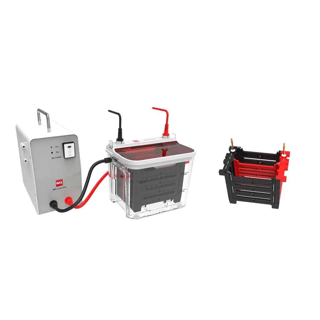 sds page electrophoresis transfer systems