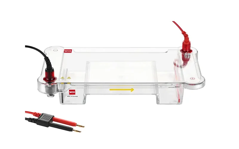 horizontal electrophoresis cell