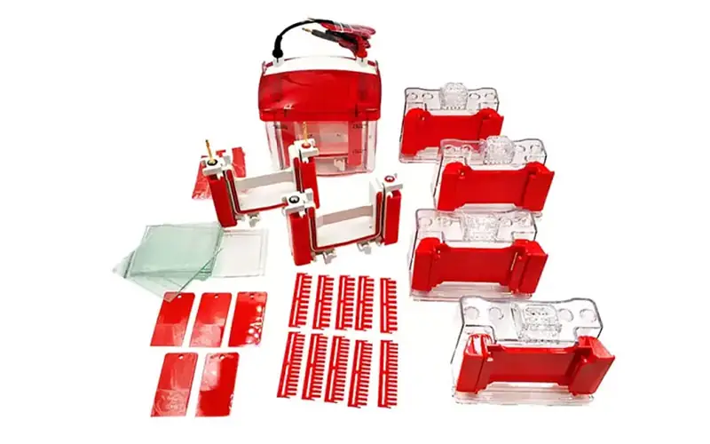 vertical electrophoresis cell kit with gel casting accessories, glass plates, and combs for protein separation experiments